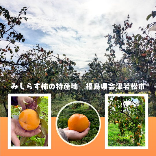 会津みしらず柿ドライフルーツ 20g入5個セット 福島県 会津産 贈り物