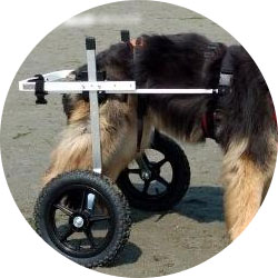 芦屋バティーズYahoo!店 - Yahoo!ショッピング