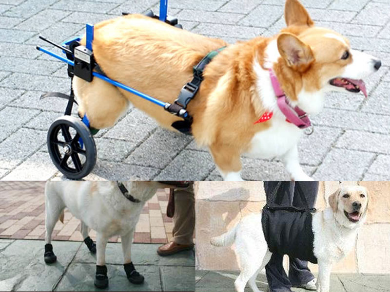 芦屋バティーズYahoo!店 - Yahoo!ショッピング