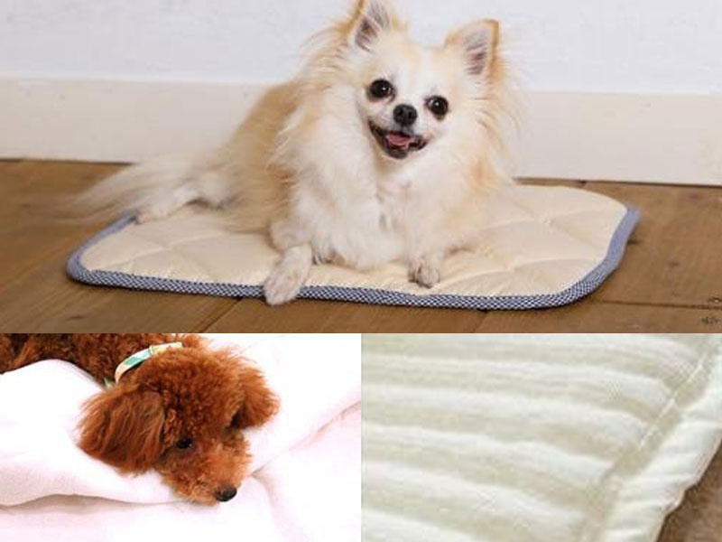 芦屋バティーズYahoo!店 - Yahoo!ショッピング