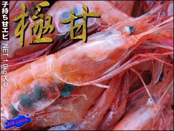 手長海老（川エビ）500g えび 海老 川海老 :kawaebi:ASK sanin 山陰境港 - 通販 - Yahoo!ショッピング