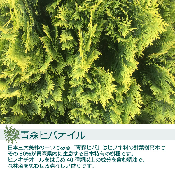 青森県産 天然ひば油 500ml 中栓付き 製油 ヒバオイル ヒバ油 お風呂 ペット 消臭剤 ヒノキチオール_2