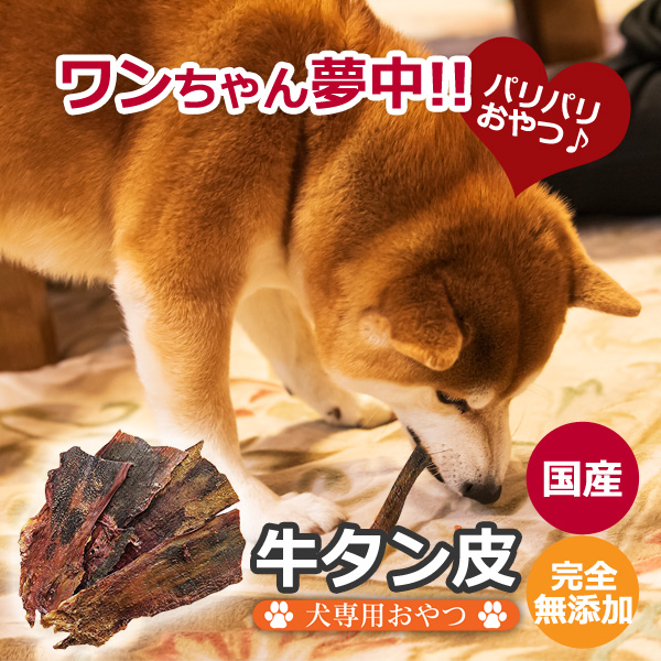 牛タン皮の商品一覧 通販 - Yahoo!ショッピング