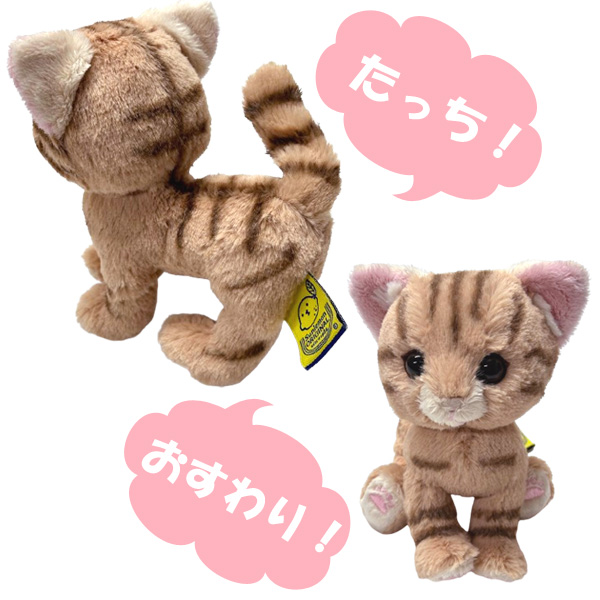 サンレモン kitten キトン ぬいぐるみ 猫 ねこ 関連画像1