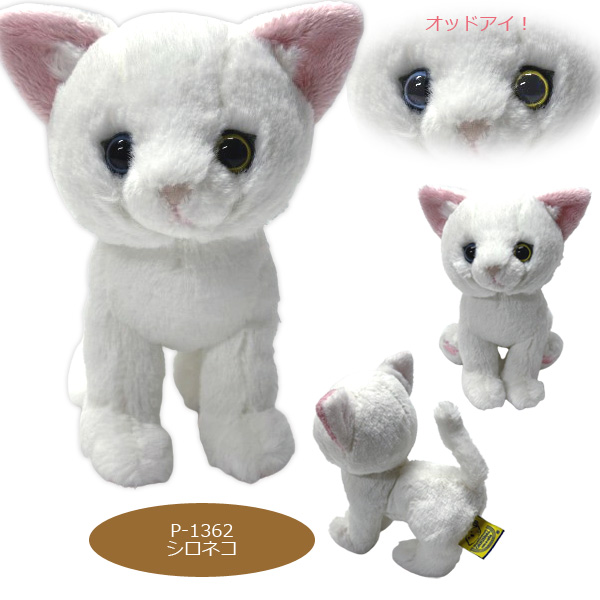 サンレモン kitten キトン ぬいぐるみ 猫 ねこ 関連画像3