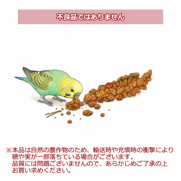 無農薬 赤粟の穂 300g 小鳥の餌 フード 天然 小動物にも ペットフード