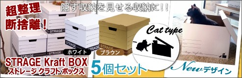 遊びDS - Yahoo!ショッピング