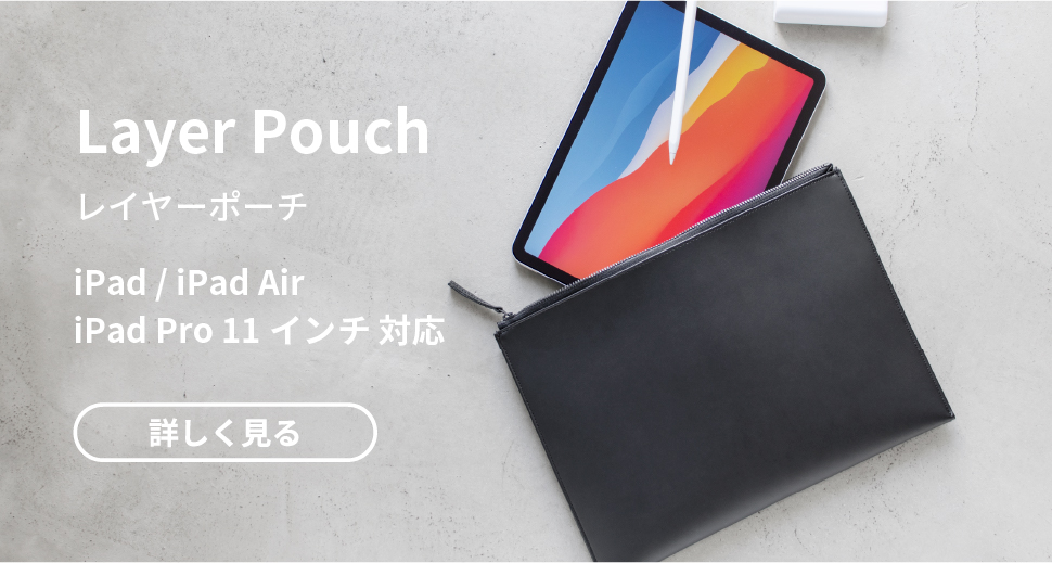 Ipad 2025 11 pouch