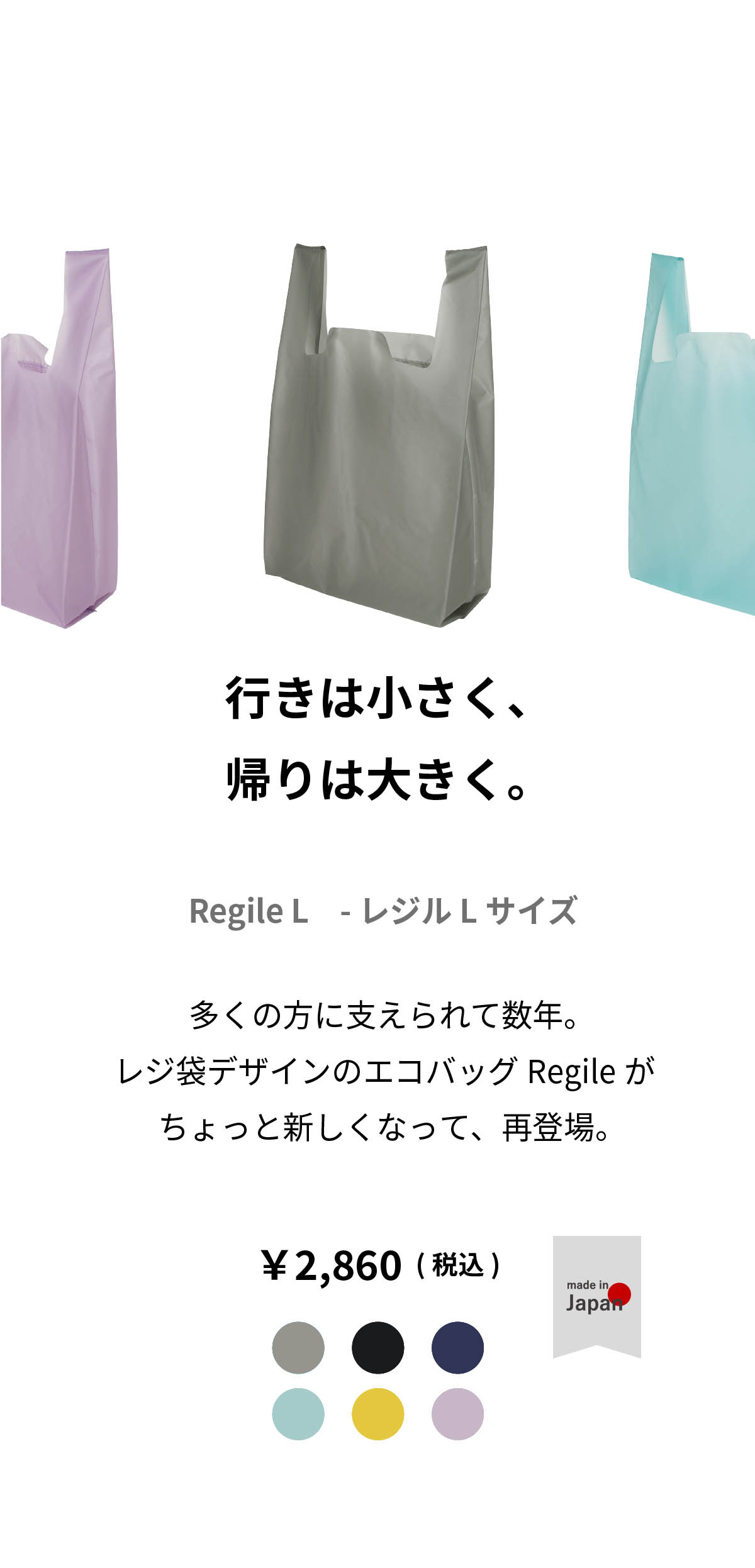 ルルドの恵【エコロ・インターナショナル】　２個セット 楽天市場】選べるキャンバス＆ナイロン トートバッグ 2way
