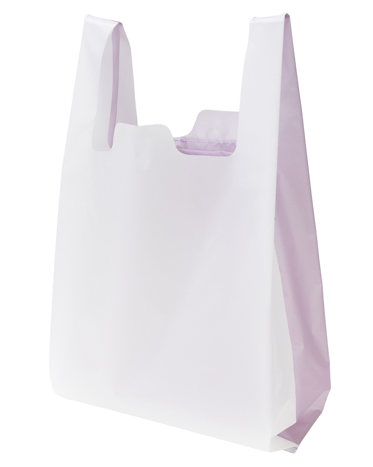 raiko　Lサイズ500gパック×5袋 送料無料】8835 帆布トート レイコアオキ