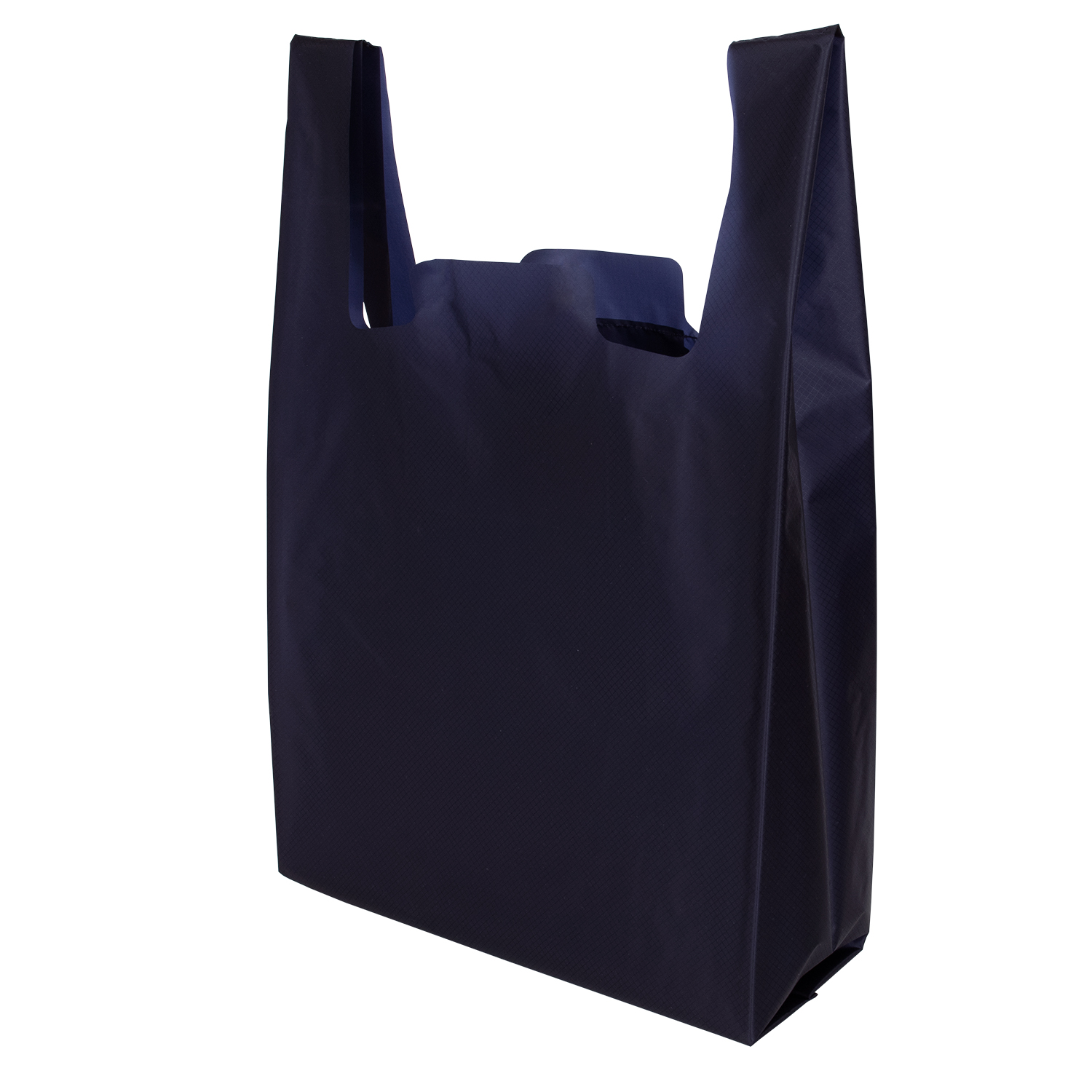 エコバック Regile2 レジル2 Lサイズ コンパクト 父の日 メンズ 大きめ レジ袋 シンプル おしゃれ 日本製 ZE-V168 | aso | 03