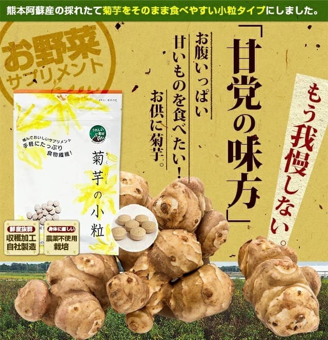 菊芋 サプリ 菊芋の小粒(100粒入り)1袋 イヌリン 水溶性食物繊維 :KI01:阿蘇自然の恵み総本舗 - 通販 - Yahoo!ショッピング