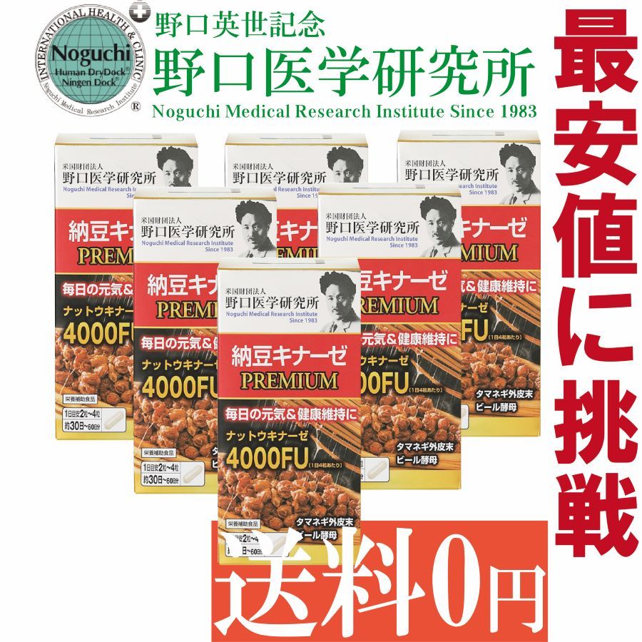 野口医学研究所 納豆キナーゼプレミアム 4000FU 120粒×6個セット