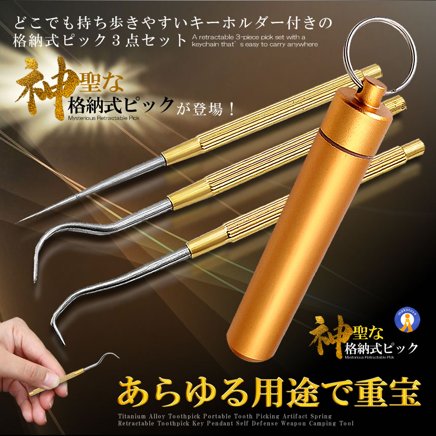 2セット 格納式 ピック セット ステンレス 爪楊枝 ケース 3種類