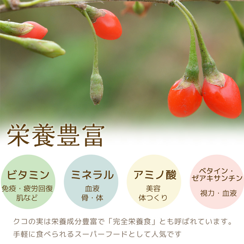 クコの実 1袋 250g ゴジベリー 無農薬 ドライフルーツ スーパーフード
