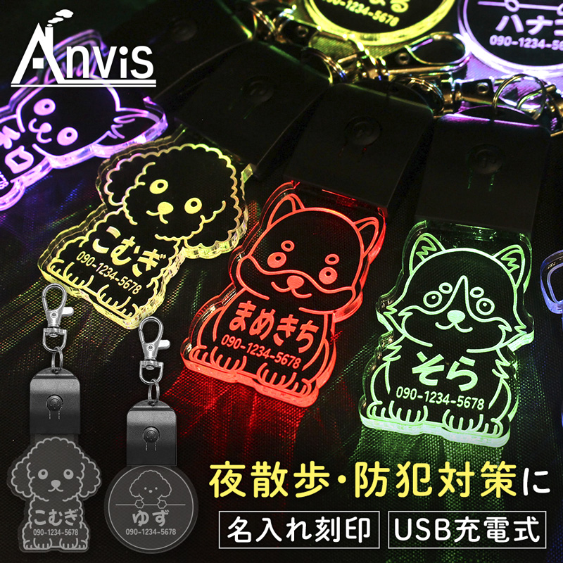 ペットライト 光る 迷子札 お名前キーホルダー ネームプレート