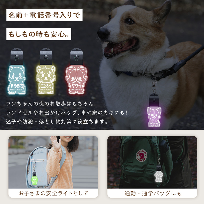 ペットライト 光る 迷子札 お名前キーホルダー ネームプレート
