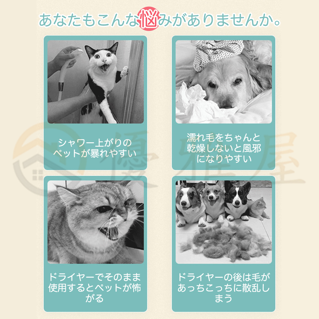 ヘアドライヤー 大風量 速乾ペット 乾燥 箱 犬 猫 家庭用乾燥ボックス