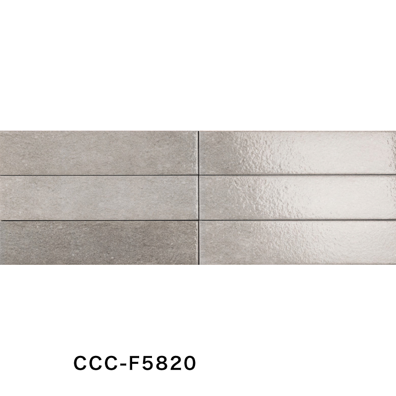 名古屋モザイク / カサカルダ Casa calda 290×65角平(ブライト) 34枚入