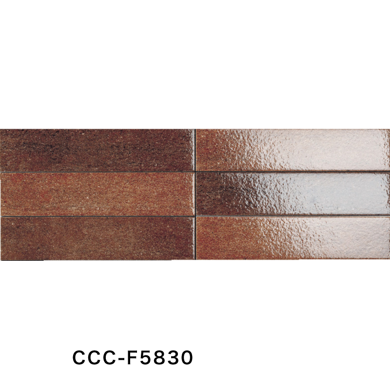 名古屋モザイク / カサカルダ Casa calda 290×65角平(ブライト) 34枚入