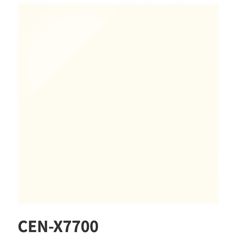 名古屋モザイク / ニューセンチュリー New Century 600角磨き 4