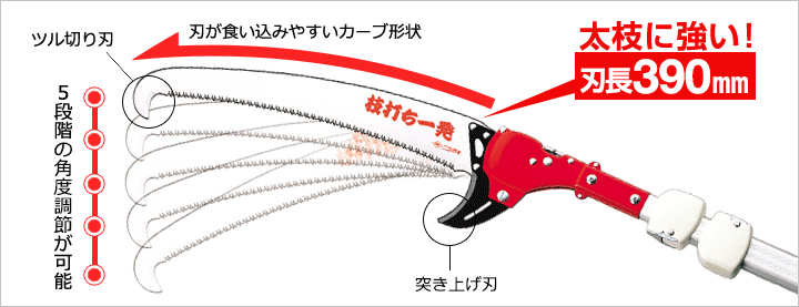 ニシガキ 枝打ち一発 3ｍ （5段階伸縮） N-760 - :2018021604