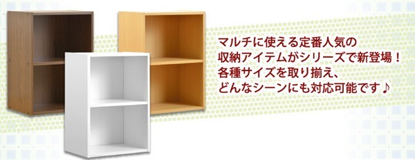 カラーボックスシリーズ【kara-baco2】2段