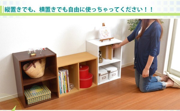 カラーボックスシリーズ【kara-baco2】2段