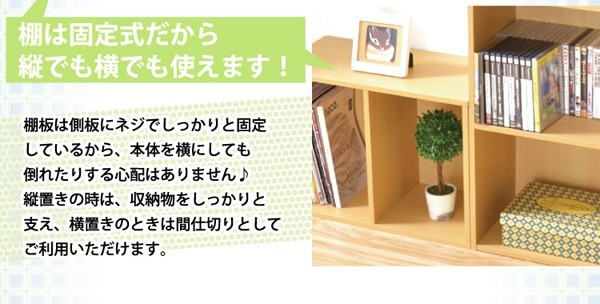 カラーボックスシリーズ【kara-baco2】2段