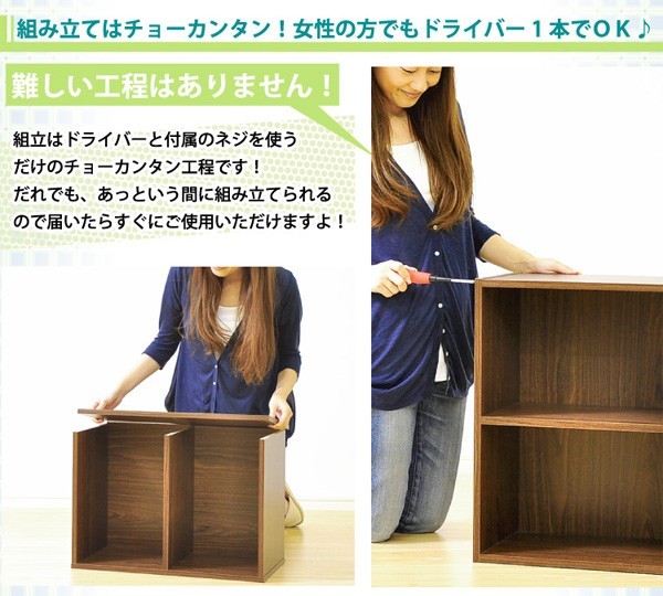 カラーボックスシリーズ【kara-baco2】2段