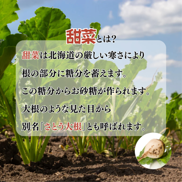 加藤美蜂園本舗 北海道てんさいオリゴ 1kg 8本 セット オリゴ糖
