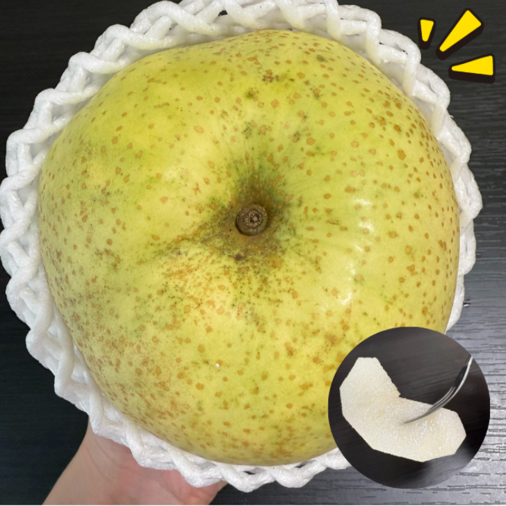 福島県産 かおり 約3kg 梨 青梨 幻の梨 果物 フルーツ デザート くだもの 国産 風の季節 産地直送 : アスライト - 通販 ...