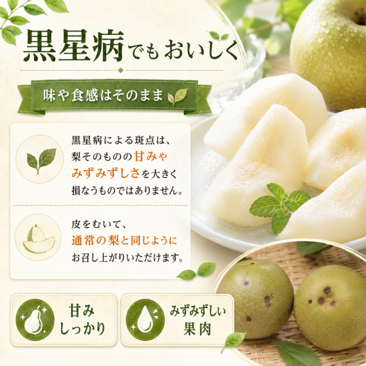 福島県産 豊水梨 約2kg 訳あり品 産地直送 梨 なし 和梨 国産 フルーツ