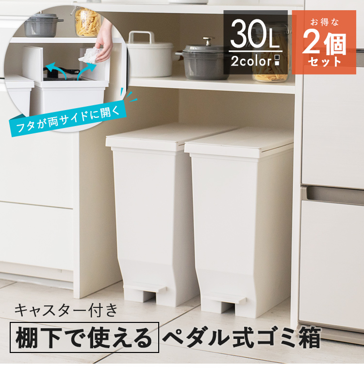 アスベル（ASVEL） ゴミ箱 おしゃれ 【ZIP!】 紹介 分別 キッチン 30