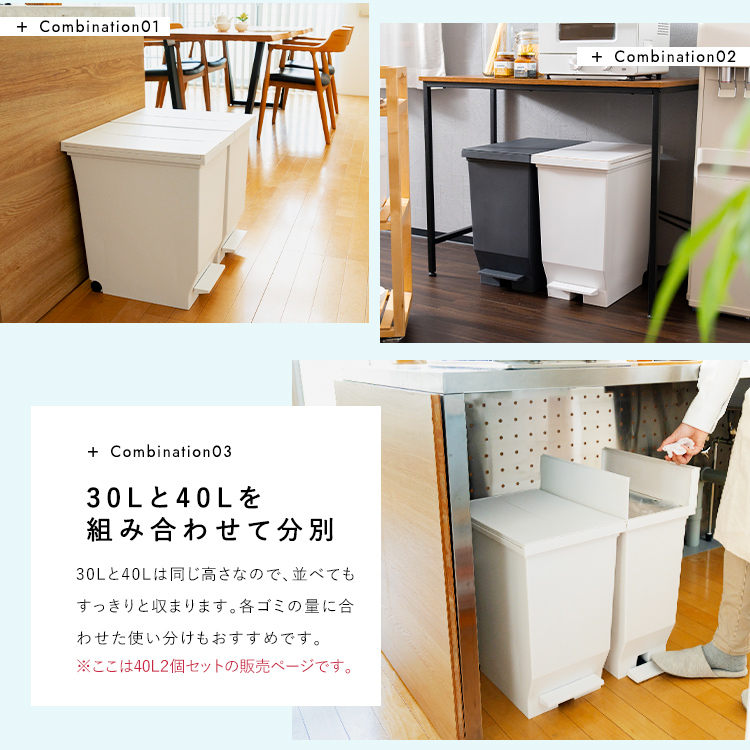 アスベル ゴミ箱 おしゃれ 【ZIP!】 紹介 分別 キッチン 40