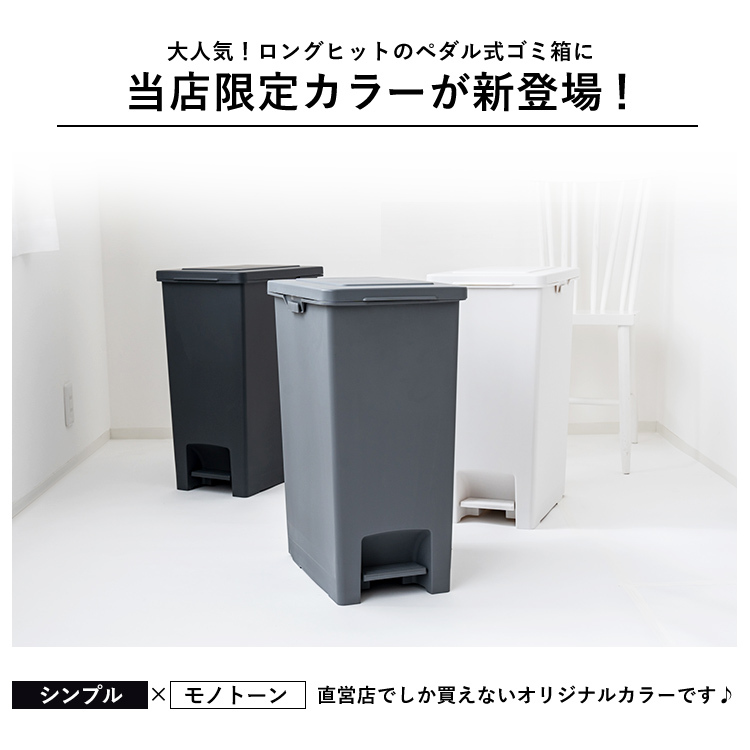ゴミ箱 おしゃれ キッチン 45リットル 【限定カラー】エバン ペダル スリム アスベル ダストボックス 分別 45l 45L 大容量 蓋付き 資源ゴミ ごみ箱 関連画像2