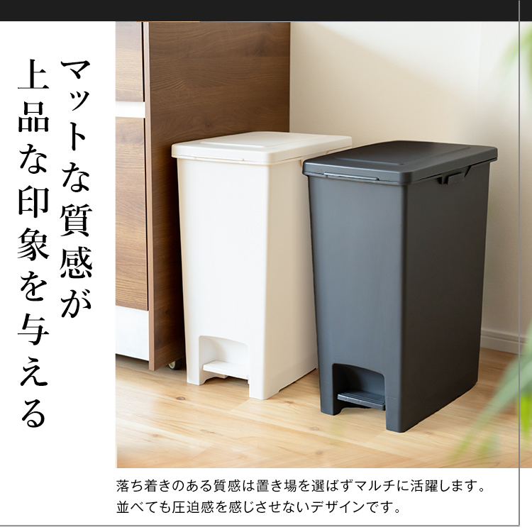 ゴミ箱 おしゃれ キッチン 45リットル 2個セット 【限定カラー