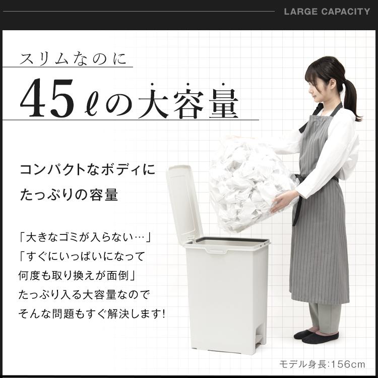 ゴミ箱 おしゃれ キッチン 45リットル 2個セット 【限定カラー】 ペダル スリム アスベル ダストボックス 分別 45l 45L 大容量 蓋付き 資源ゴミ ごみ箱｜asvel｜17