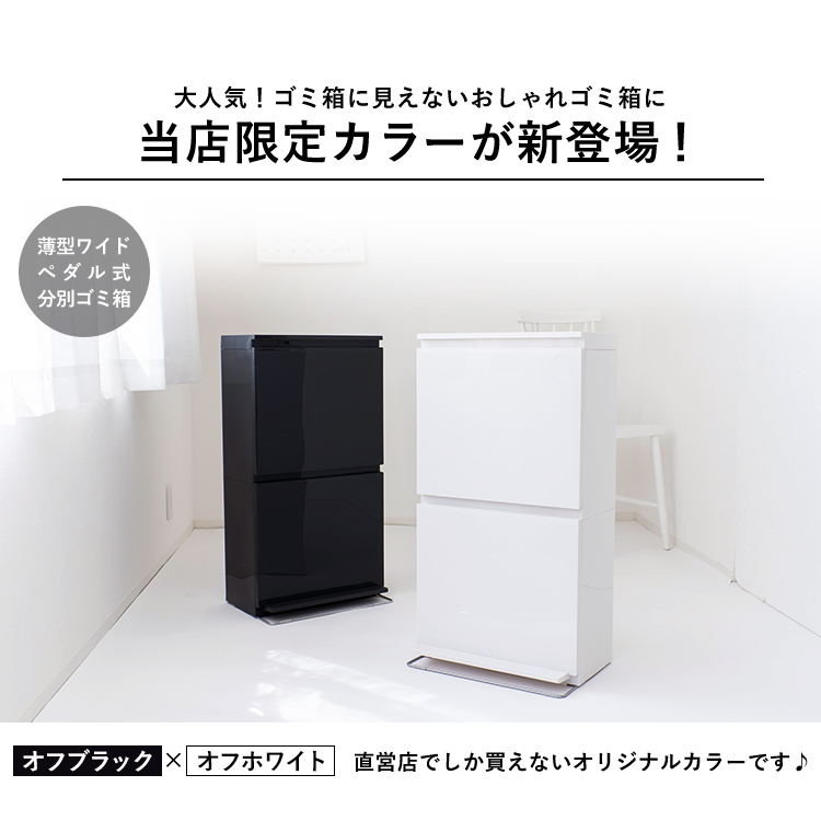 ゴミ箱 おしゃれ キッチン 分別 限定カラー 2段 ワイド 40リットル ペダル アスベル Asvel 2分別 縦型 40l 大容量 蓋付き 資源ゴミ ごみ箱 ギフト A6800 アスベル ヤフー店 通販 Yahoo ショッピング