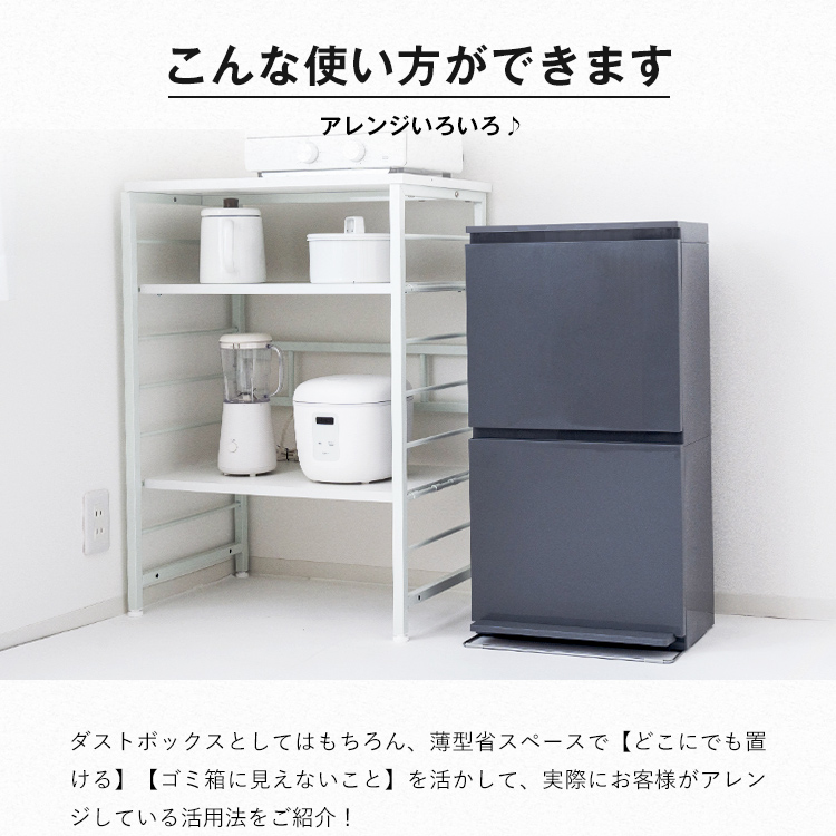 ゴミ箱 おしゃれ キッチン 分別 【限定カラー】 2段 ワイド 40リットル