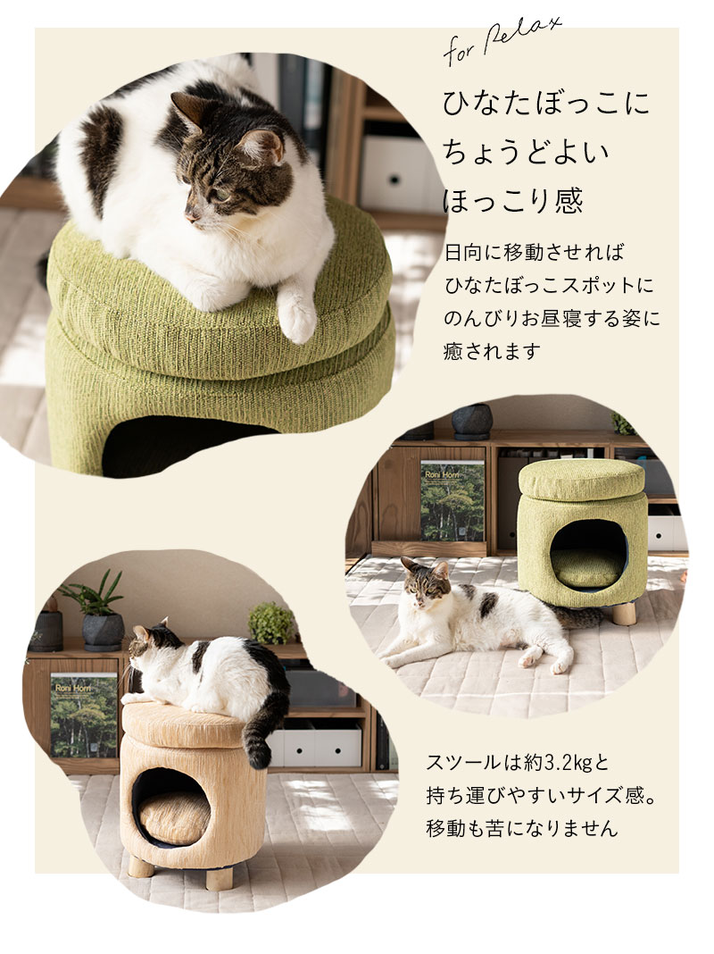 スツール＆ドームベッド キャットベッド 猫用 ベッド 軽量 隠れ家 お