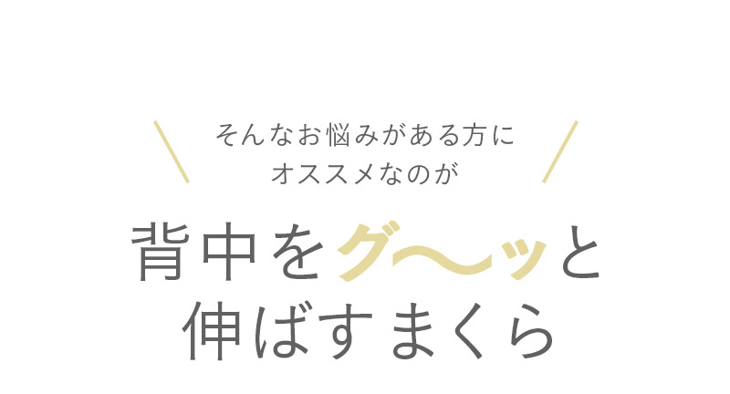 背中をグ〜ッと伸ばすまくら 背中枕 ビーズクッション 背中伸ばし ストレッチ エクササイズ ポール