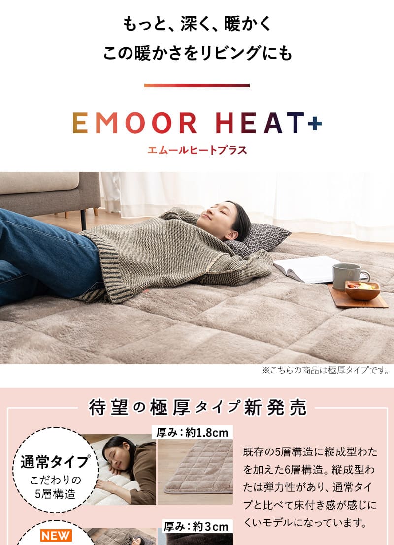 ラグ カーペット 絨毯 190×240cm 長方形 約3畳 極暖 +4℃ 吸湿発熱 ヒートプラス