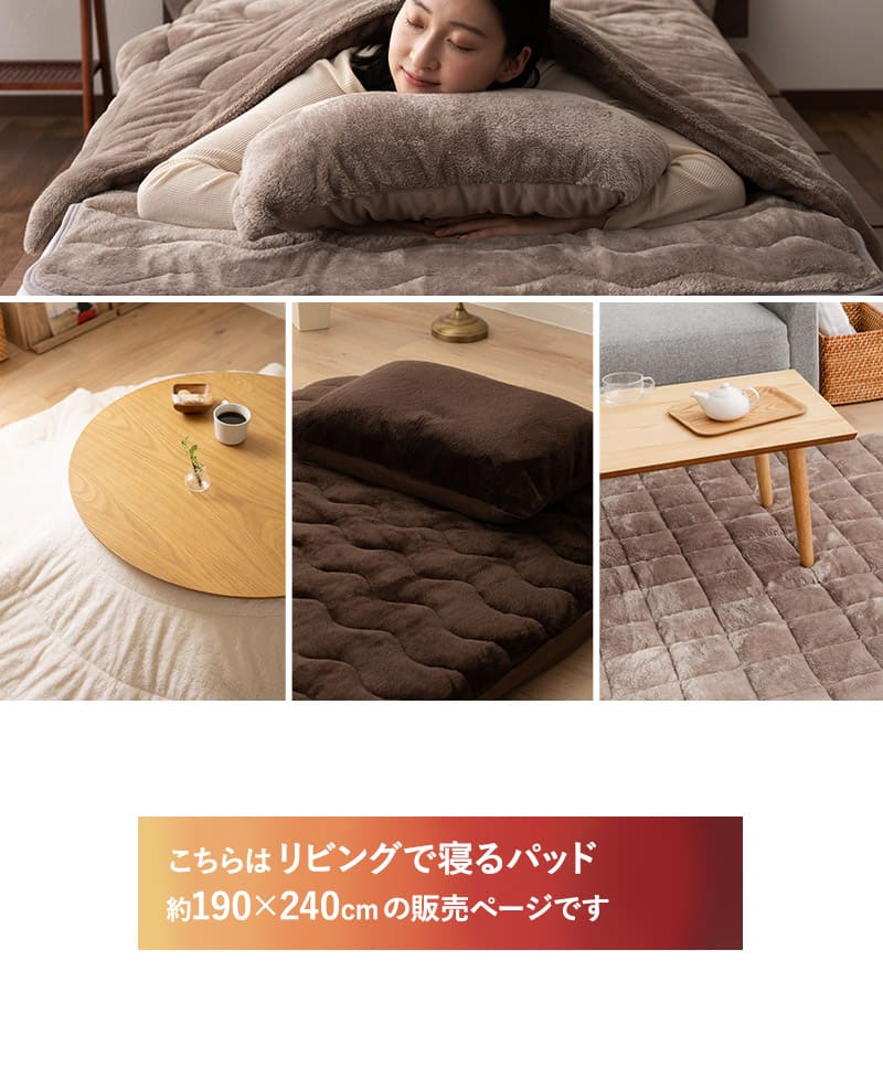 ラグ カーペット 絨毯 190×240cm 長方形 約3畳 極暖 +4℃ 吸湿発熱 ヒートプラス