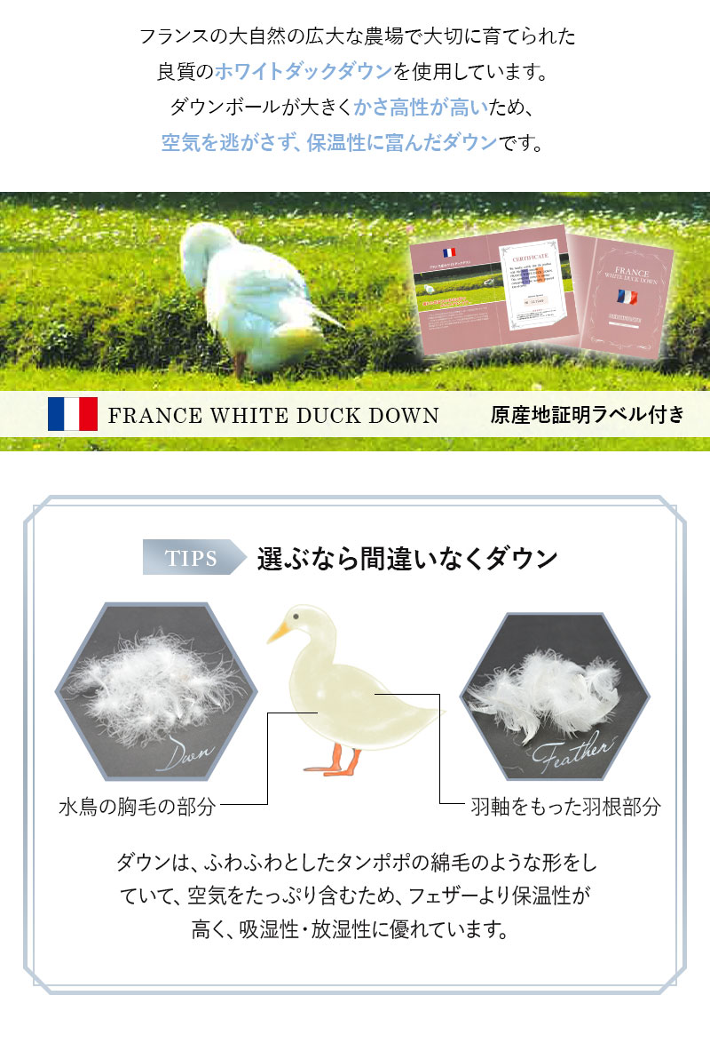 日本製 エクセルゴールドラベル 羽毛肌掛け布団 ダウンケット シングル 収納ケース付き 高品質