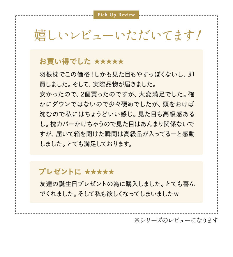 リッチダウンピロー 43×63cm 日本製 綿100％ 天然グース 羽毛 枕
