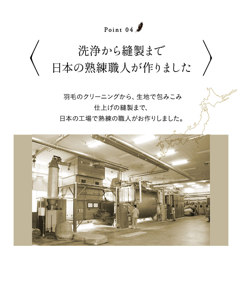 リッチダウンピロー 43×63cm 日本製 綿100％ 天然グース 羽毛 枕