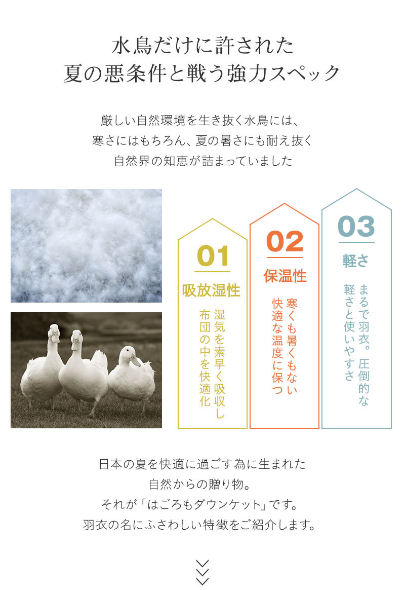 はごろもダウンケット シングル