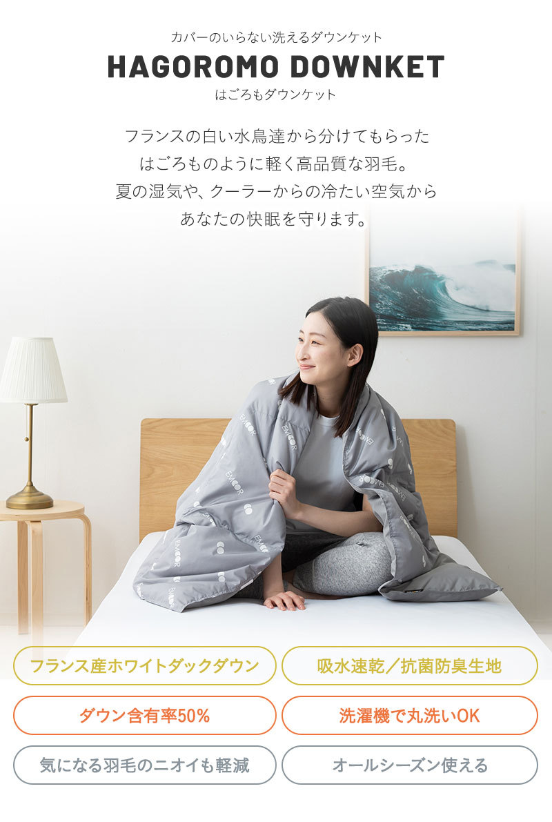 はごろもダウンケット 2枚セット シングル