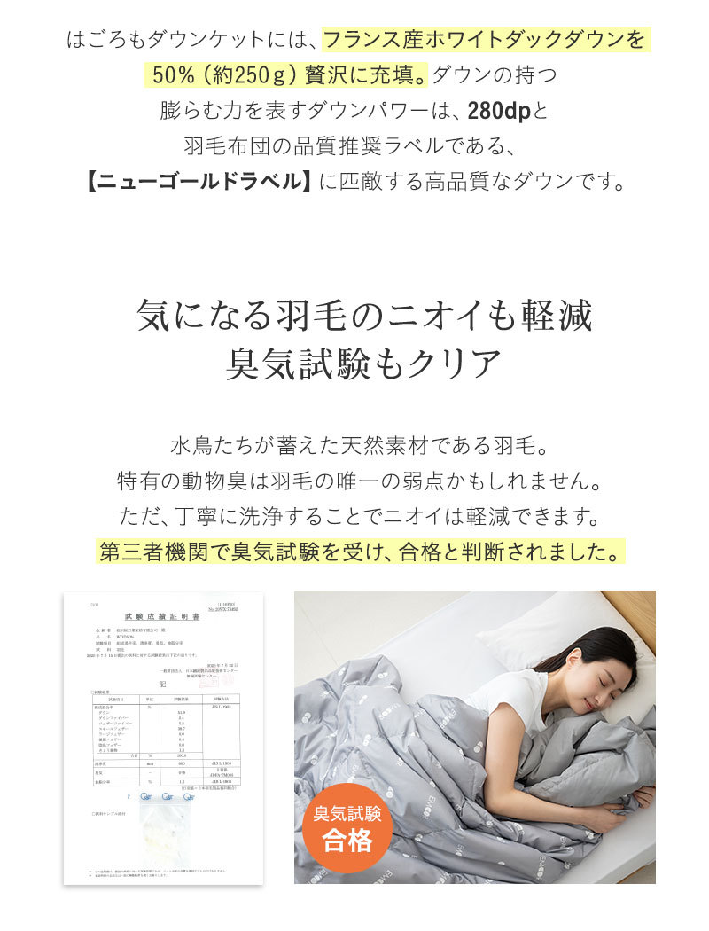 はごろもダウンケット 2枚セット シングル